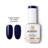 Bluesky Uv Gel Polish AW2315P Your Point Of View 15ml