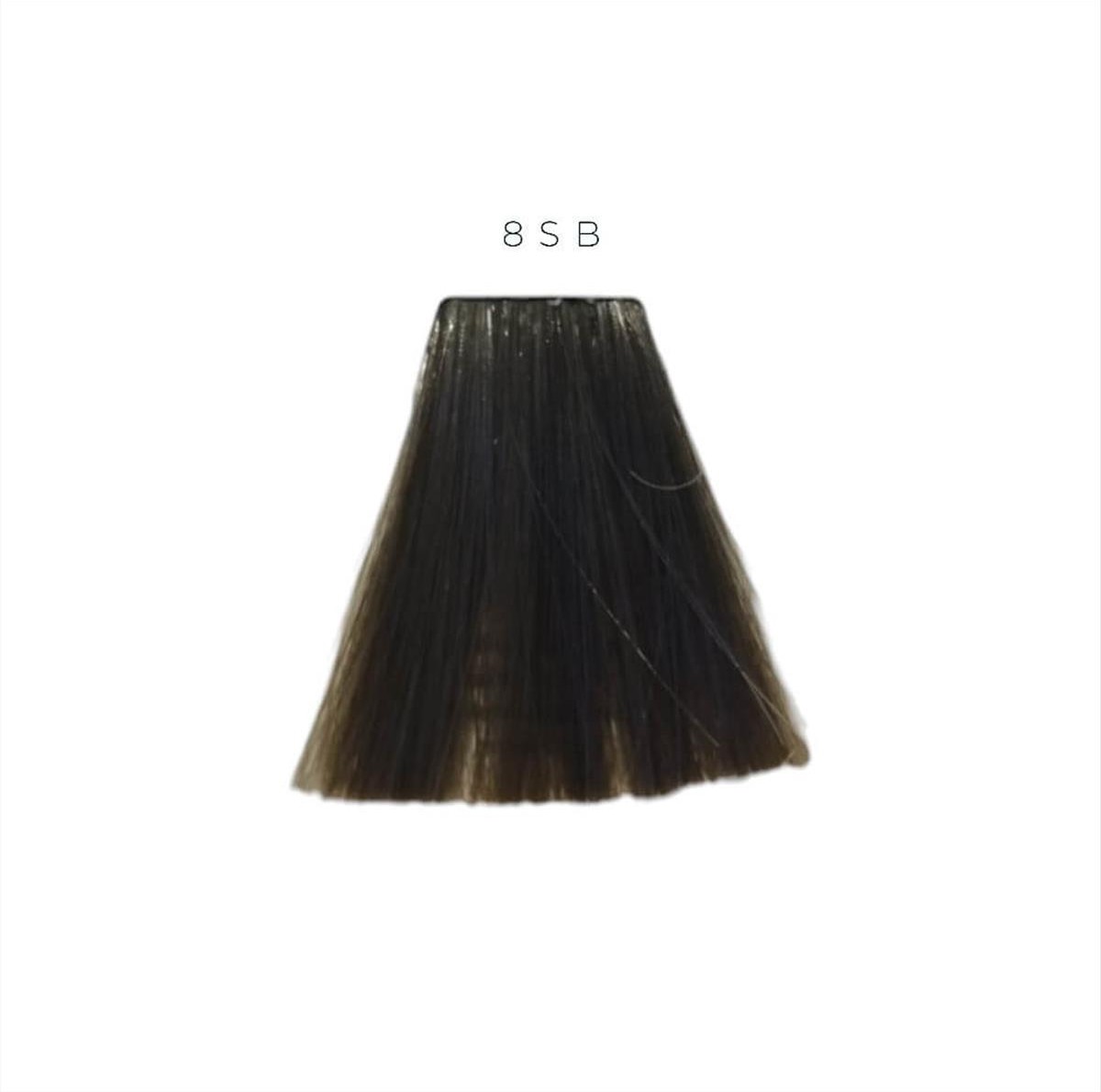 Βαφή Goldwell Topchic Permanent 8SB Καστανό Ασημί Ανοιχτό 60ml Βαφή Goldwell Topchic Permanent 8SB Καστανό Ασημί Ανοιχτό 60ml