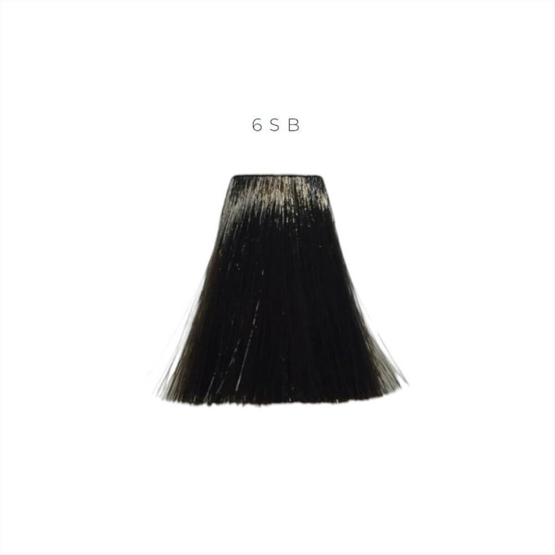 Goldwell Topchic Permanent Hair Color 6SB 60ml
