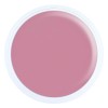 Alezori Acrygel A&G Hybrid Light Pink 100g
