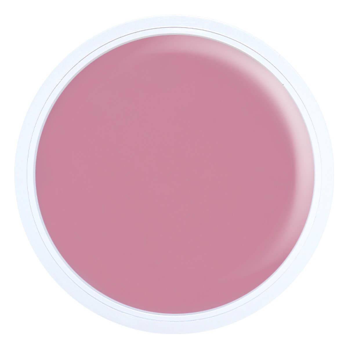 Alezori Acrygel A&G Hybrid Light Pink 100g