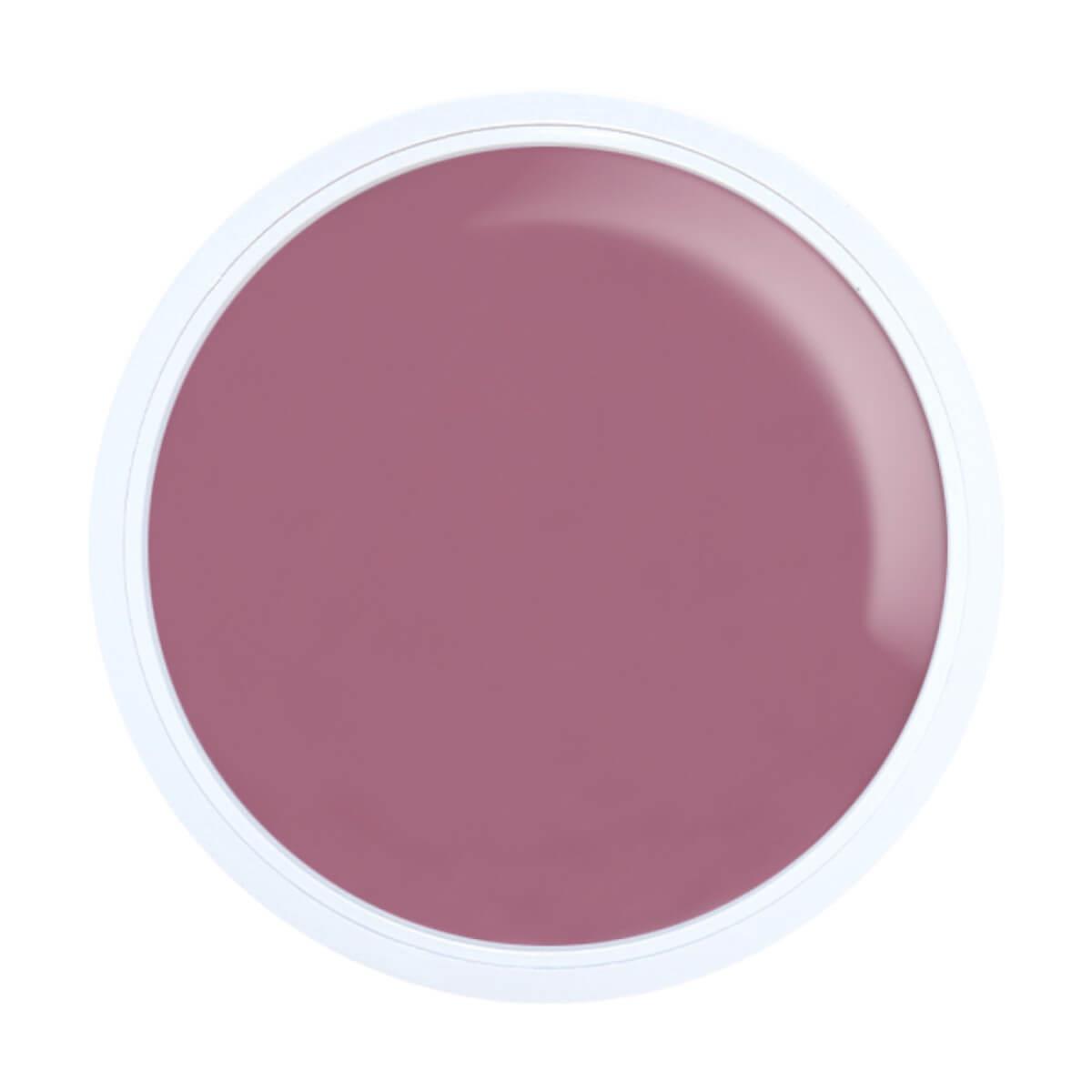 Alezori Acrygel A&G Hybrid Dark Pink 17gr