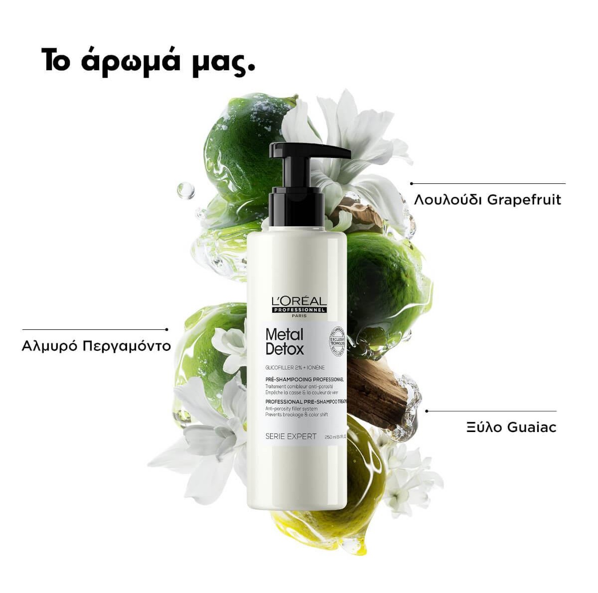 Pre-shampoo metal detox serie expert 250ml L'Oreal
