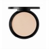 Compact Powder Oil Free 202 Silky Beige Erre Due