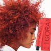 Βαφή Schwarzkopf Igora Royal Reds 60ml