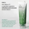 Heartleaf quercetinol pore deep cleansing foam 150ml Anua