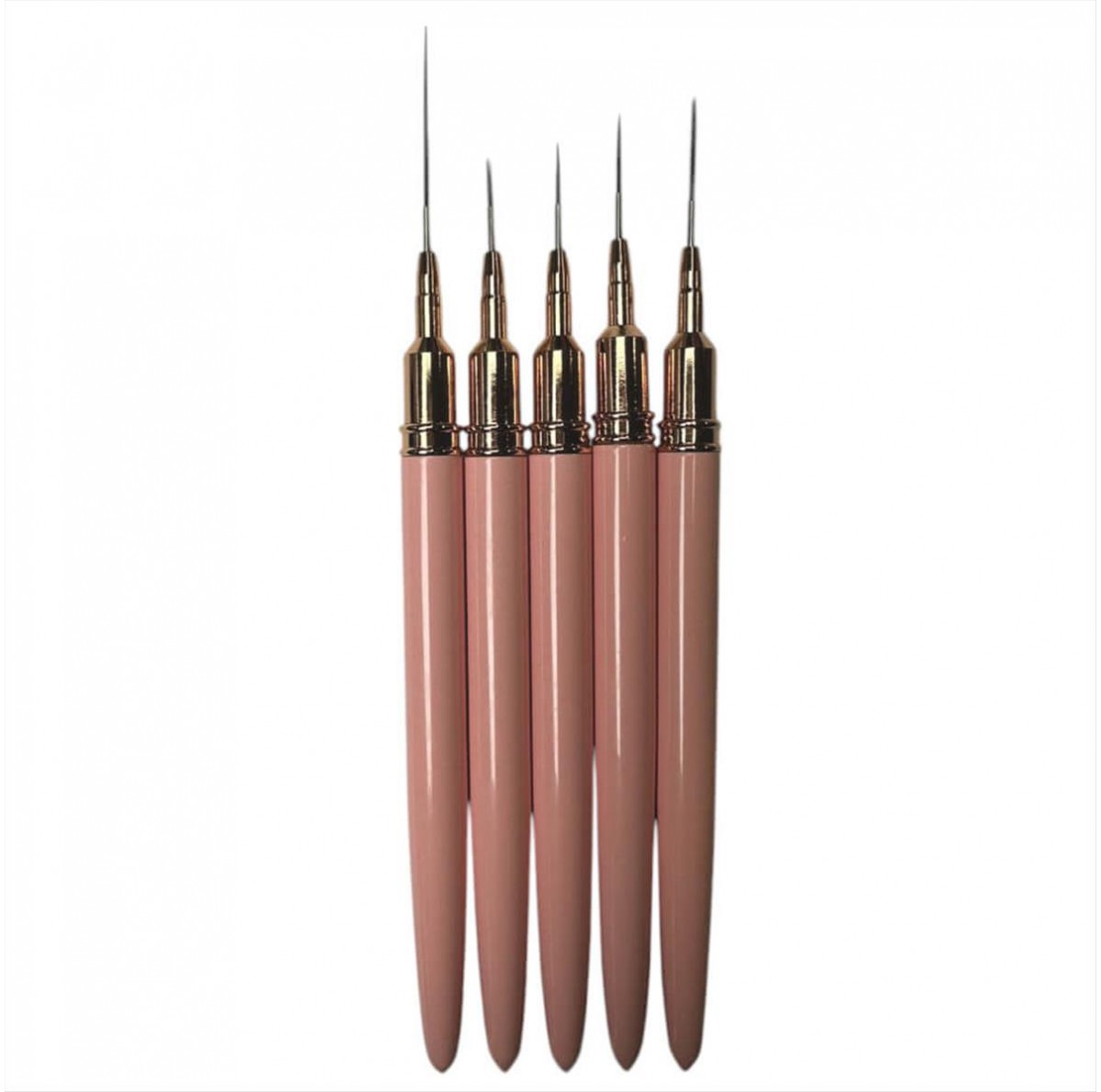 Set of 5pcs design Nails brushes