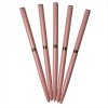 Set of 5pcs design Nails brushes