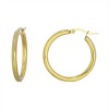 Steel hoop earrings gold 3cm