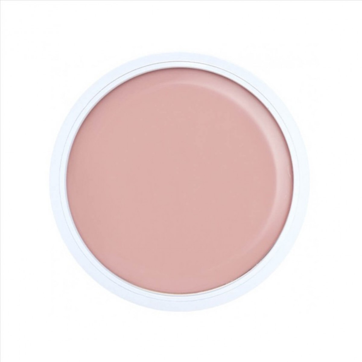 Alezori Acrygel A&G Hybrid Pudre 17gr