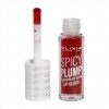 Elixir Spicy Plump Lipgloss 404 Elixir Spicy Plump Lipgloss 404