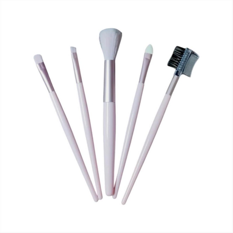 Eye makeup brushes set 5pcs
