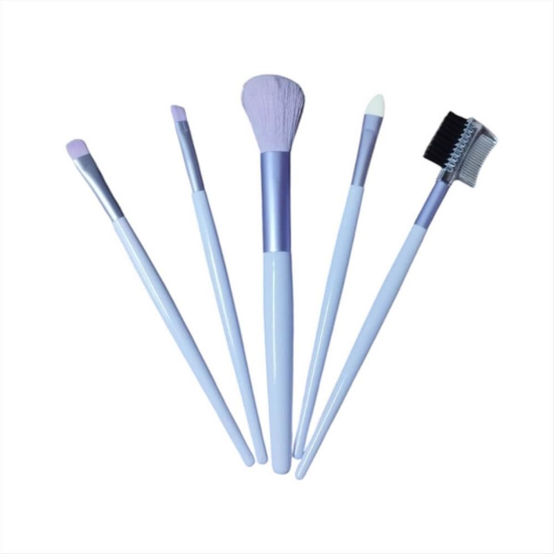 Eye makeup brushes set 5pcs