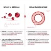 SEOUL 1988 eye cream retinal liposome 4% + fermented bean 30ml K-SECRET SEOUL 1988 eye cream retinal liposome 4% + fermented bean 30ml K-SECRET