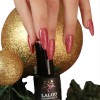 Semi-Permanent Nail Polish Pride Flash Glitter No9 Red Laloo 15ml Semi-Permanent Nail Polish Pride Flash Glitter No9 Red Laloo 15ml
