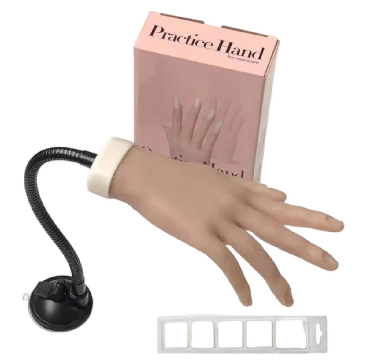 Educational realistic manicure hand with 100 tips
