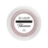 Titanium Color Mirror Powder No.06 Laloo Titanium Color Mirror Powder No.06 Laloo