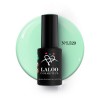 Ημιμόνιμο Βερνίκι 529 Palm Mint Laloo 7ml