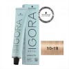 Schwarzkopf Igora Royal Highlifts 10-19 60ml