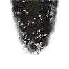 Toppik Keratin Fibers for Thickening 12g Black