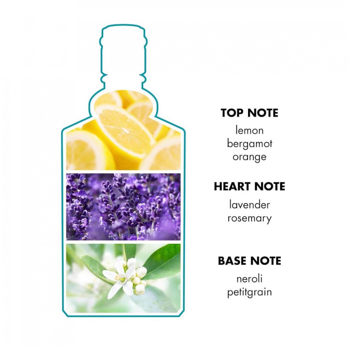 4711 Original Eau de Cologne 50ml