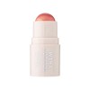 Beauty balm multi use berry blush MUA