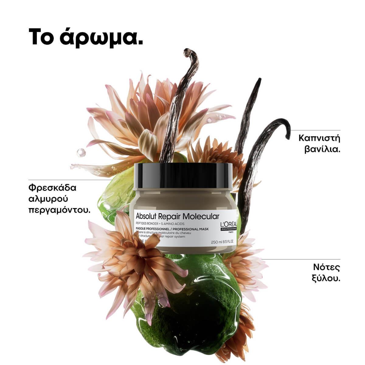 Hair mask absolut repair molecular serie expert 500ml L’Oréal