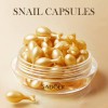 Snail essence lotion firming & anti wrinkle 30 capsules Sadoer