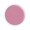 Alezori Acrygel A&G Hybrid Light Pink 17gr