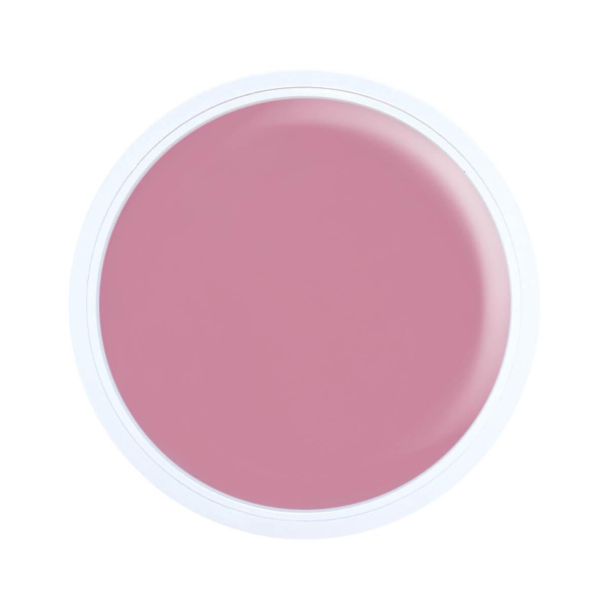 Alezori Acrygel A&G Hybrid Light Pink 17gr