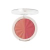 Blushed matte blush powder duo ginger MUA
