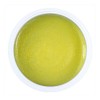 Gel Medium Exotic Tahiti 25g Alezori