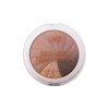 Multi bronzing powder perfection golden dunes MUA