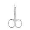 Stainless Steel Nail Scissors 9cm 1050/1H