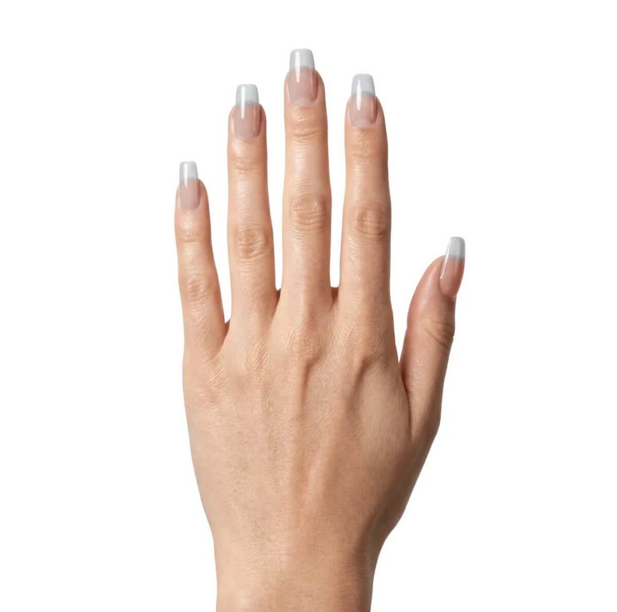 Champion led gel clear 5g Laloo