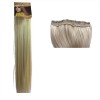 Hair Extension With clips Straight Wig  613