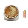 Mirror Powder Effect Gold Trendy