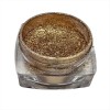 Mirror Powder Effect Gold Trendy