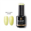 Bluesky Uv Gel Polish Top Coat No Wipe Smart Spicy Cary LFW01 15ml