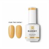 Bluesky Uv Gel Polish I Run This Show 15ml