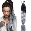 Hair Xpress  Jumbo Braid BN28 25cm