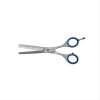 Fragile Scissors Pro Diamond 3901 5.5 "