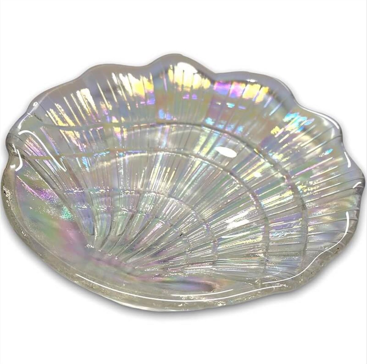 Organizing Saucer Shell White Iridescent