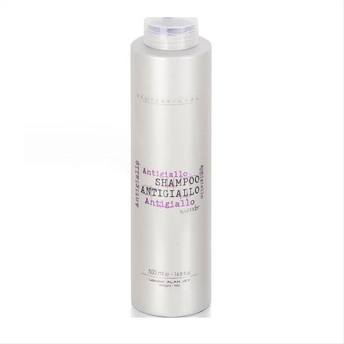 Shampoo Silver Laboratori Alan Jey 500ml