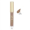 Golden Rose Eye Glaze Liquid 03 Mocha