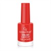 Βερνίκι Golden Rose Color Expert Nail Lacquer 24