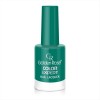 Βερνίκι Golden Rose Color Expert Nail Lacquer 55