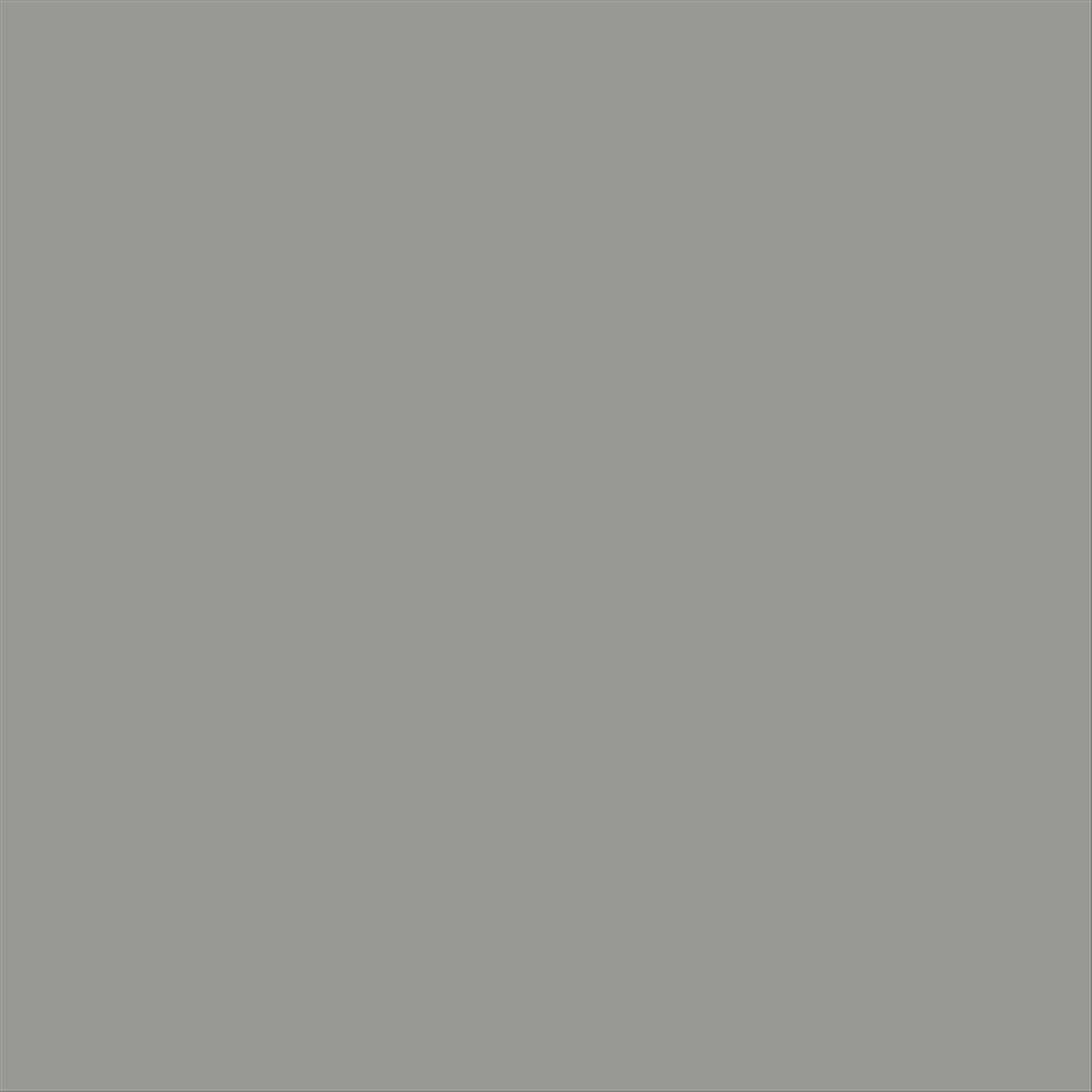 Gel Lack LED & UV 5ml Light Grey (No133)