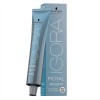 Βαφή Schwarzkopf Igora Royal Highlifts 10-21 Κατάξανθο Φυμέ Σαντρέ 60ml