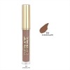 Golden Rose Eye Glaze Liquid 04 Chocolate